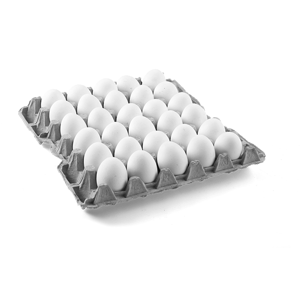 30m White Eggs Tray (unit) 30m White Eggs Tray (unit)