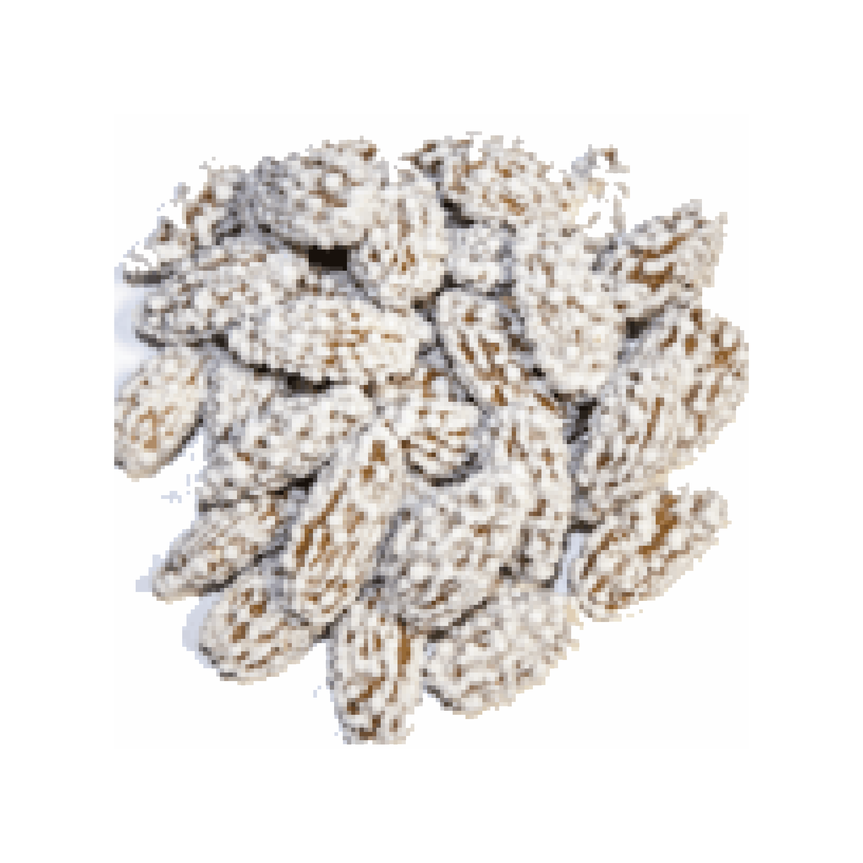 Kaif Almonds Noqul 800g	