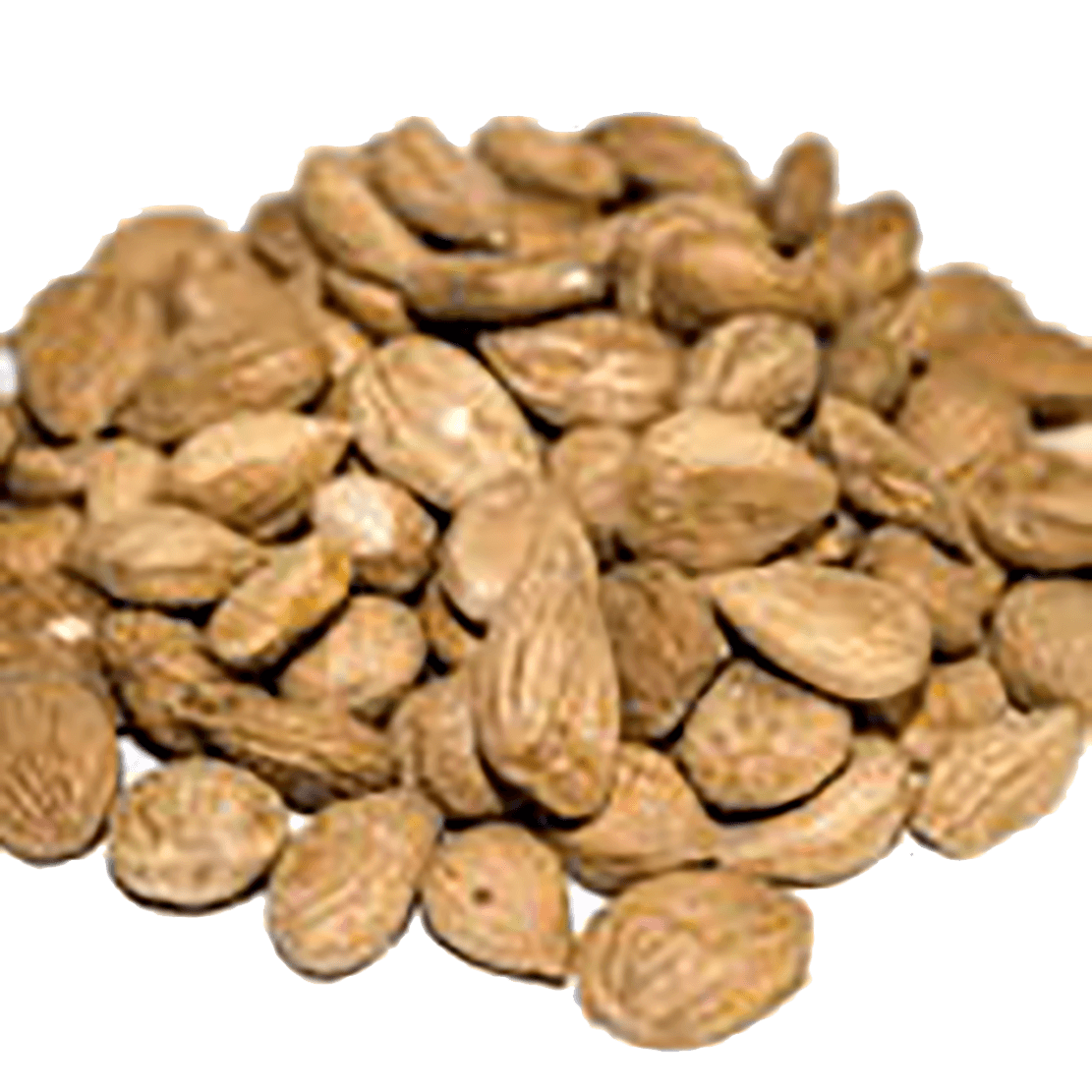 Kaif Apricot Seeds Afg  (khasta) 10kg