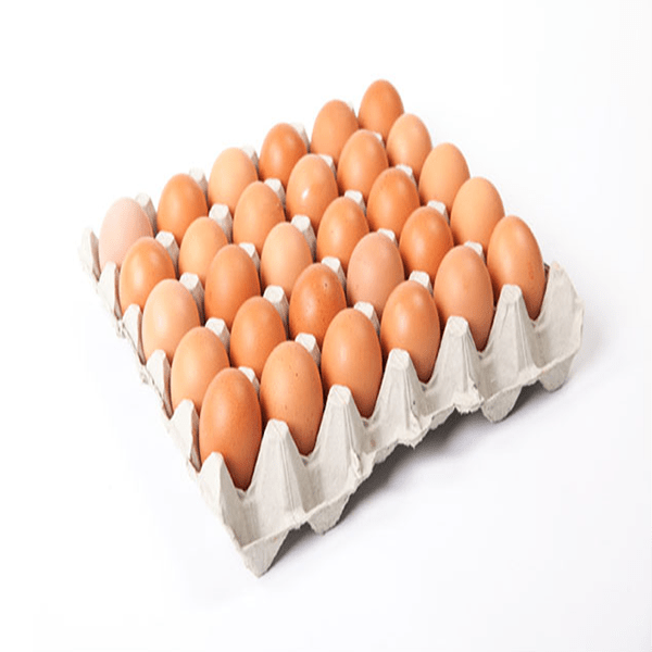 30m Brown Eggs Tray (unit) 30m Brown Eggs Tray (unit)