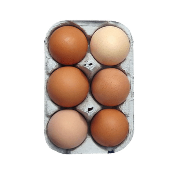 Eggs 6m Freerange