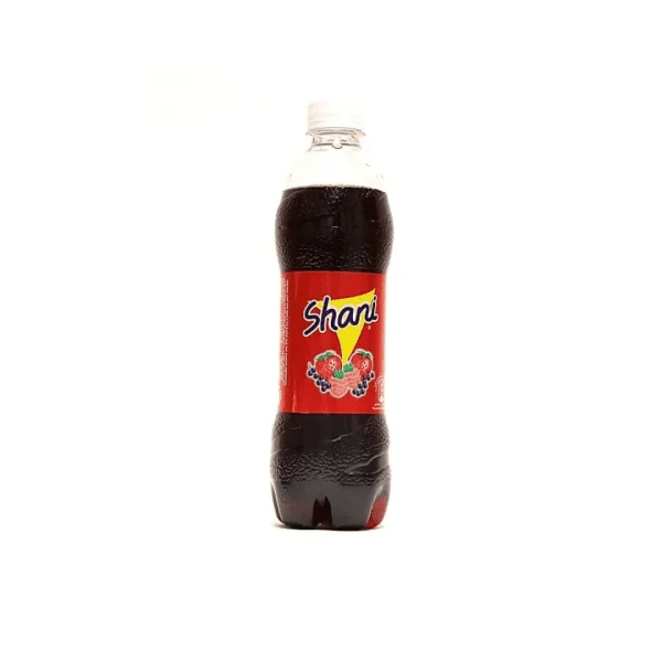 Shani Bottles 12x500ml