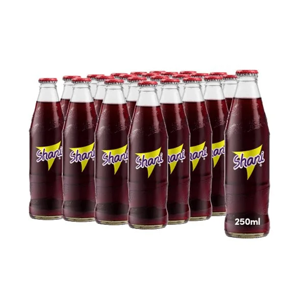 Shani Glass Bottle 12x250ml | Vitaplsusuk